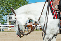 20260529-AR2_5678