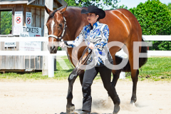 20260528-AR2_3678